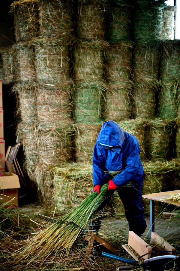 この貴重な青い藁を扱うには、機械では再現できない熟練の技が必要です。お正月飾りは歳神様に宿っ ていただく為のものですので、清らかで美しく、力強くなくてはならないと私達は信じています。だか らこそ、日本の文化を守りながらも、ひとつひとつ真心を込めて手作りすることにこだわっているので す。