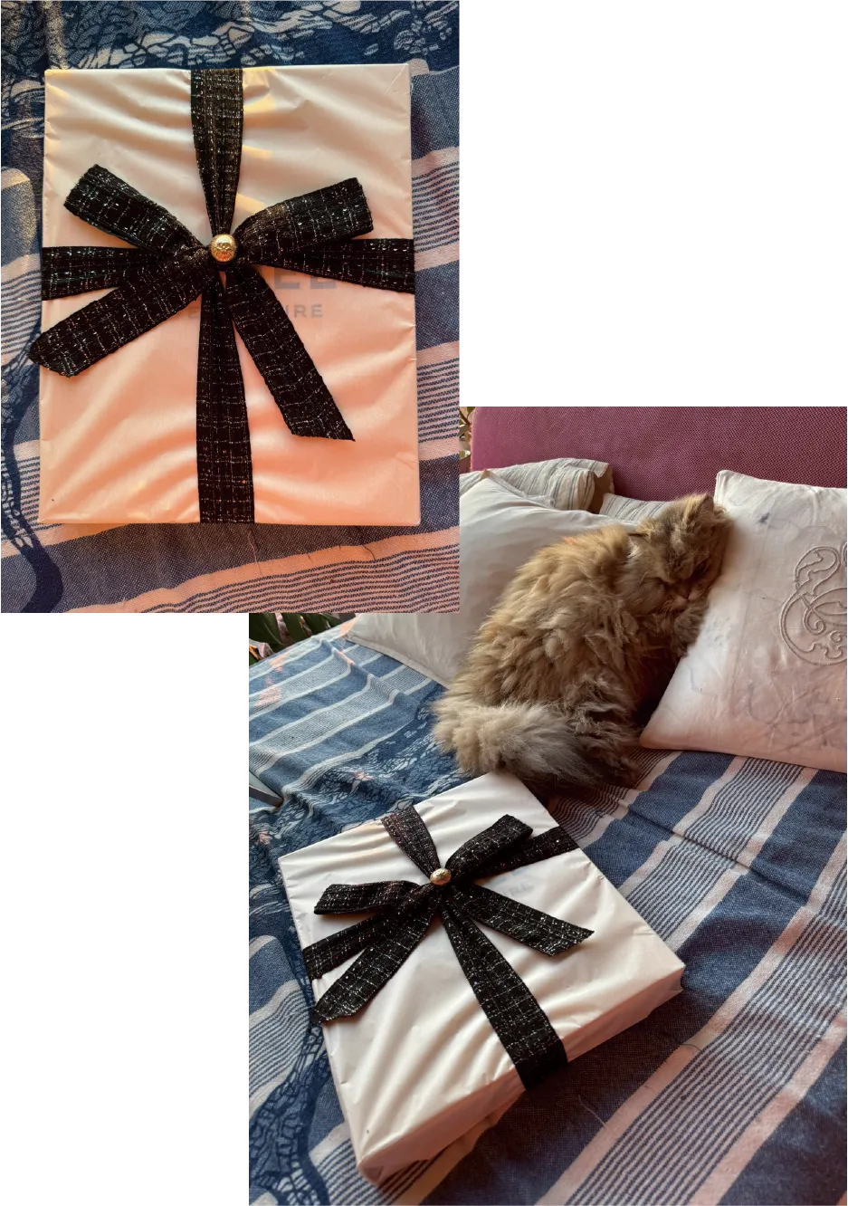 シャネルからファミリーに送られて来るクリスマスプレゼント
今年はオートクチュールの立派な本
夢が詰まったページを大切にめくろう