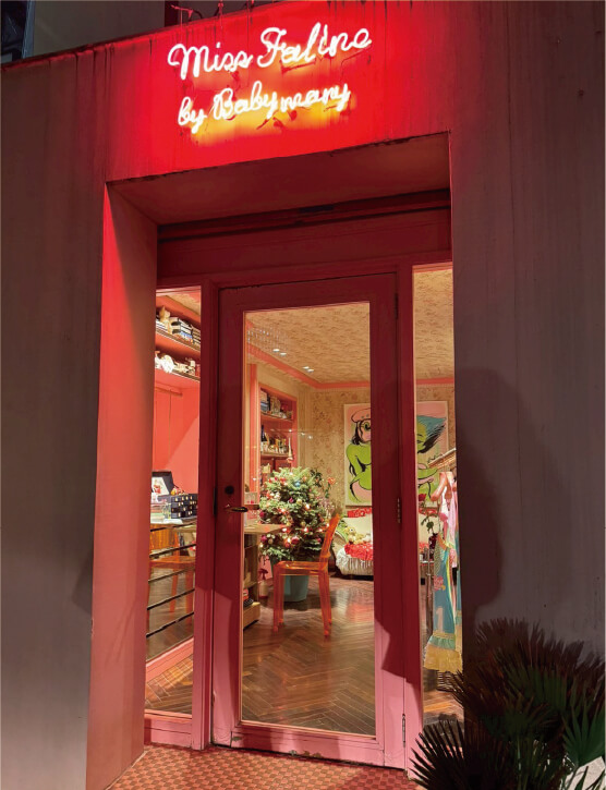 FALINE というブティックを長い時を経て 
昔 働いていた
さゆりが引き継いで愛の循環